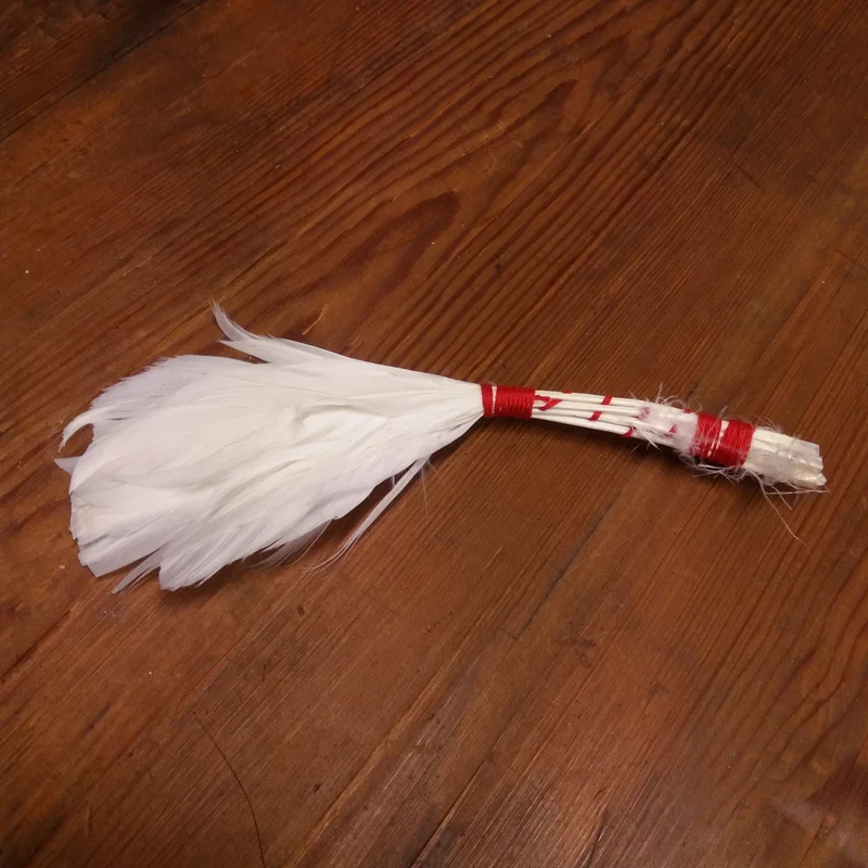 Plume à badigeonner