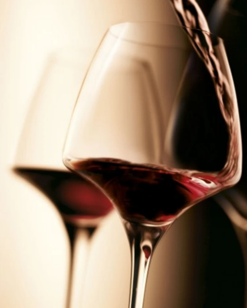 Verre Open Up Universal Tasting - Chef & Sommelier | Une Dégustation Exceptionnelle 🍷 🍃
