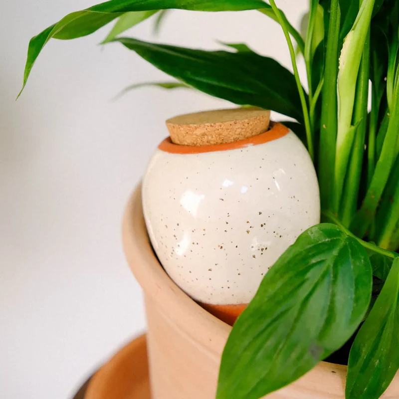 Olla blanc grainé - PEPIN