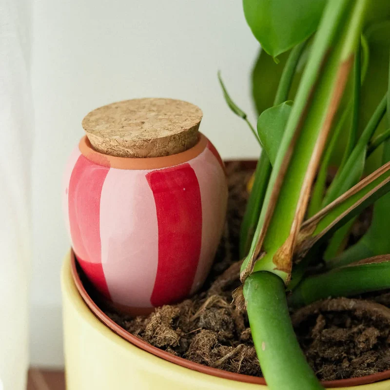 Olla rayé rose et rouge - PEPIN