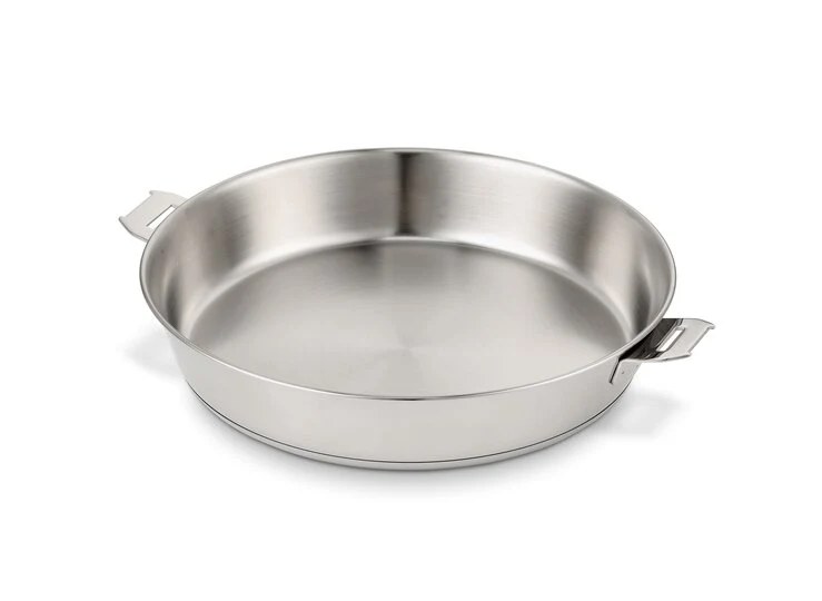 Evolution braadpan
