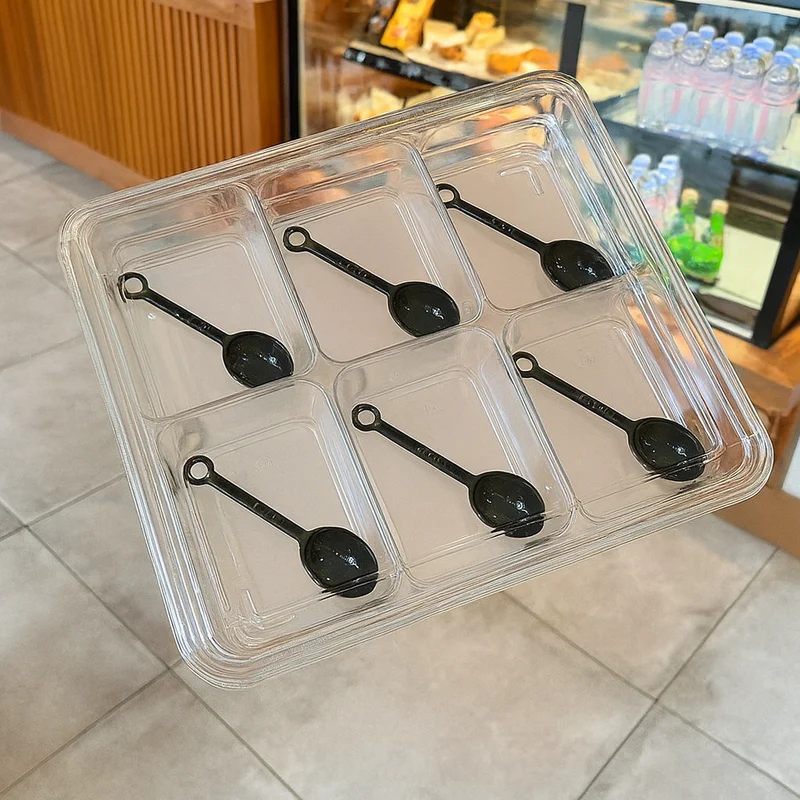 Sub-equid,PBX-6C,6 Grids Plastic Seasoning Box with Lid (Clear)
