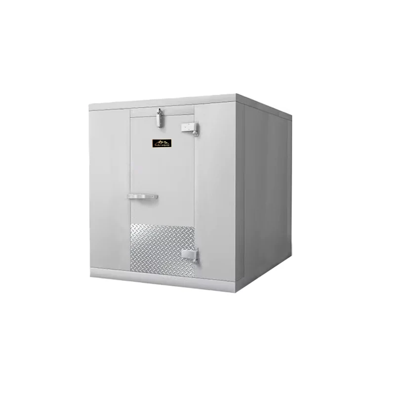 Sub-Equip, WT-6684F Walk-In Freezer, 4" Thick Panels,6W x 6D x 8Hft, Indoor Box Only