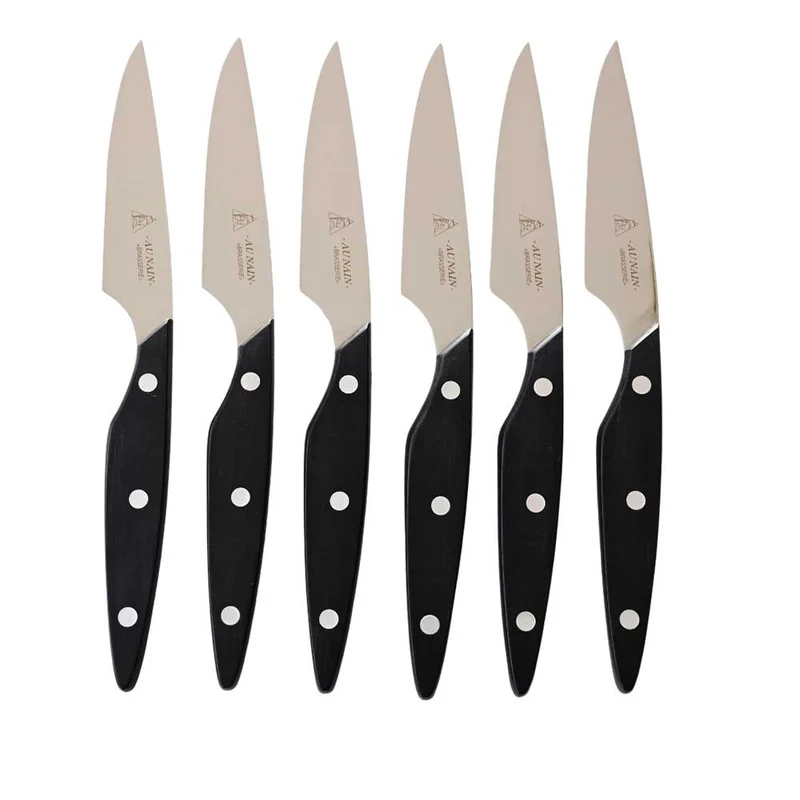 Coffret de 6 couteaux à steak Brasserie Lame à dents - Au Nain