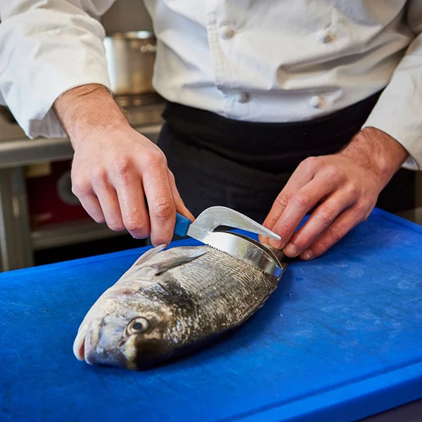 Ecailleur à poisson bleu triple action Vitécaille Nogent
