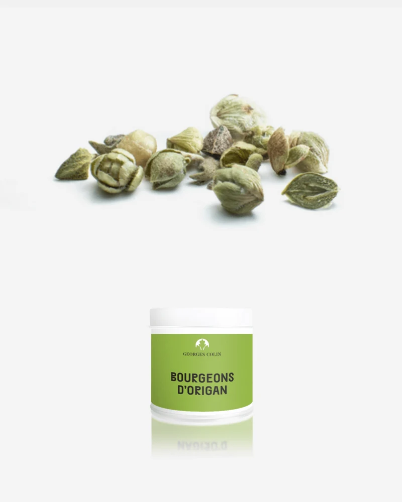 Bourgeons d'Origan - Georges Colin - 20g