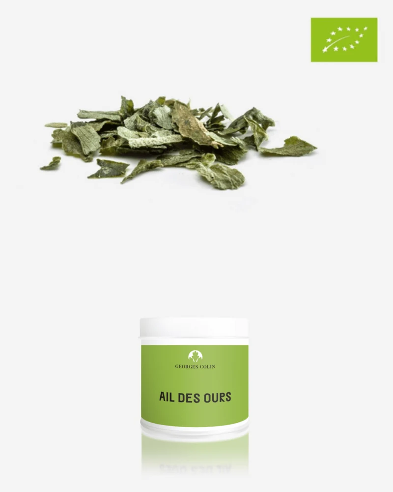 Ail des Ours Bio - Georges Colin - 15g
