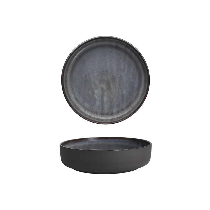 Fortessa Northern Lights Borealis Silt 12 Piece Dinnerware Set, Service for 4