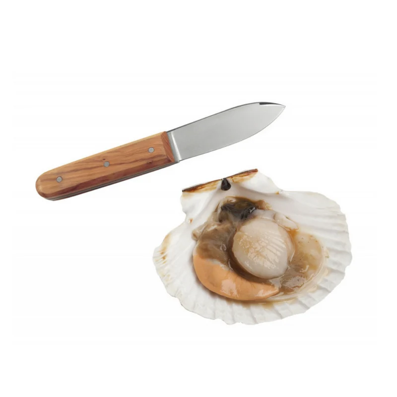 Couteau à coquilles saint-Jacques