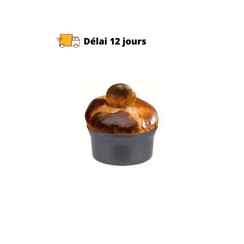 Moule Pétrin CS 4200 accessoire Robot Magimix