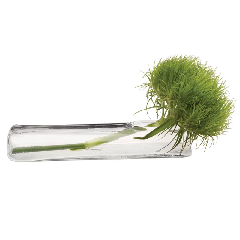 Chive Test Tube Vase, Flat