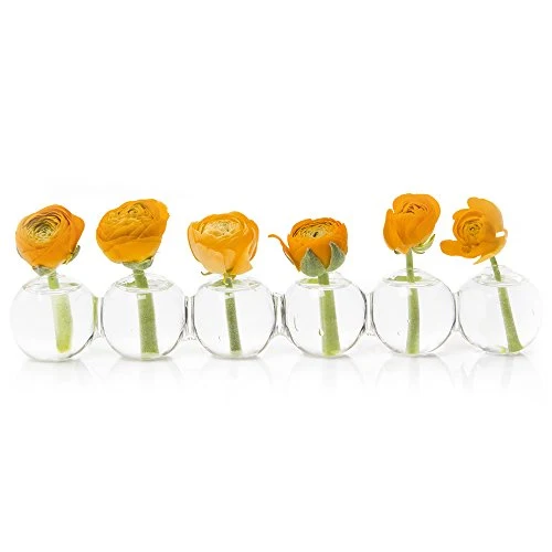 Chive Caterpillar Small Flower/Bud Glass Vase (10.25" long, 1" wide, 1.5" tall)