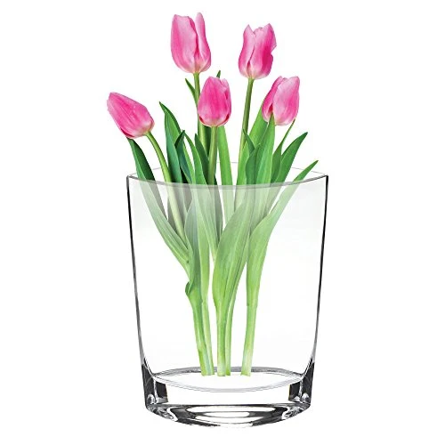 Badash 11" European Mouth Blown Crystal Vase, Montego Bay (4" diameter)
