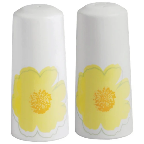 Brilliant 2 Piece Salt and Pepper Shaker, Sunshine