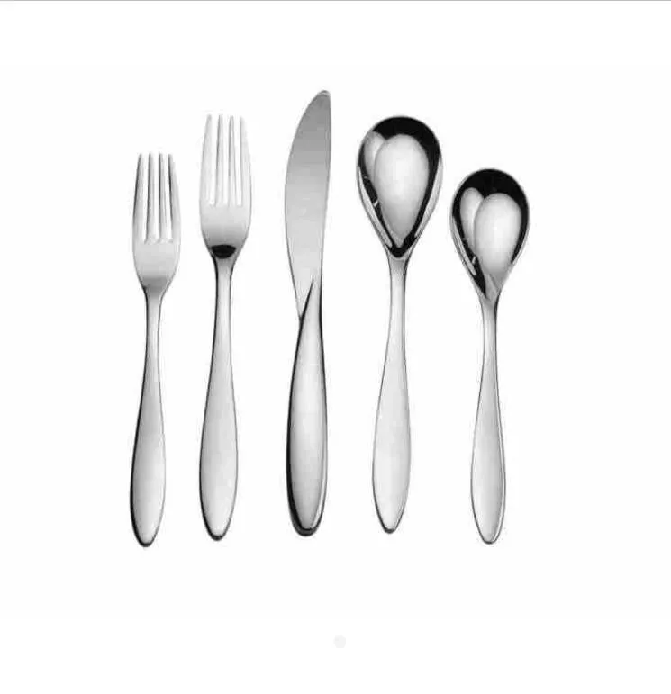 David Shaw Matte 18/10 Stainless Steel 20 PC. Flatware Set, Arctic